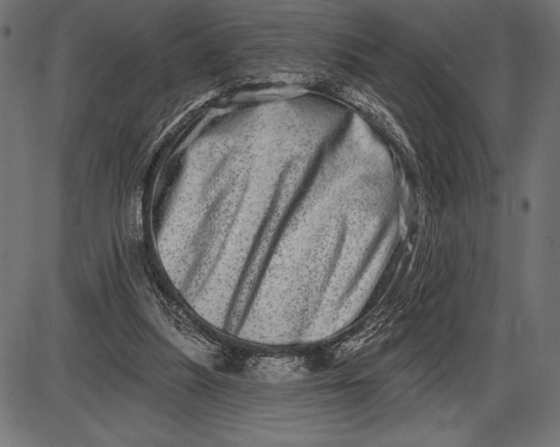 X0000086100251200704091400