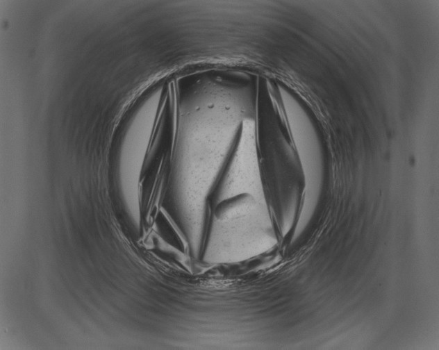 X0000086100252200704091400