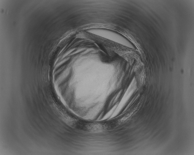 X0000086100253200704091400