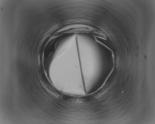 X0000086100254200704091400