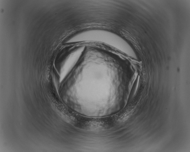 X0000086100255200704091400
