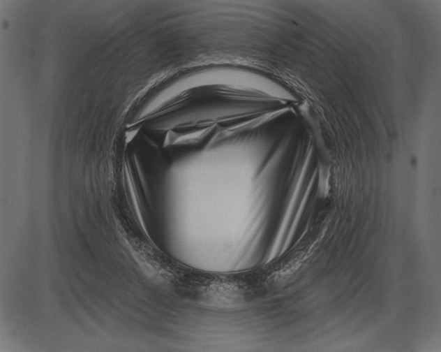 X0000086100256200704091400