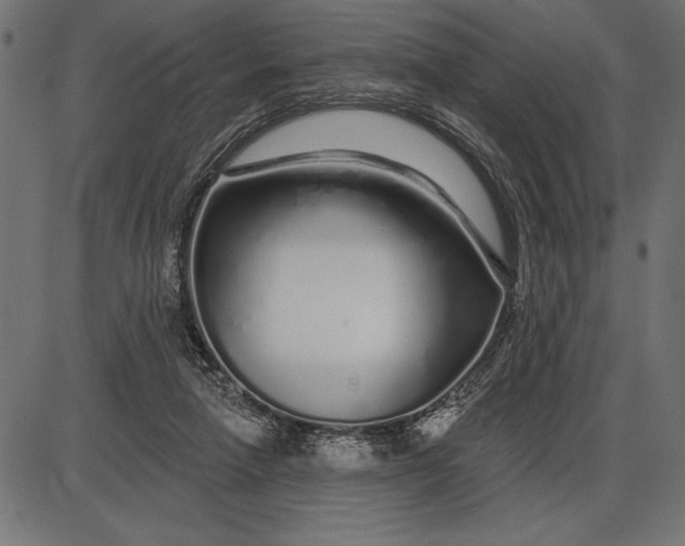 X0000086100258200704091400