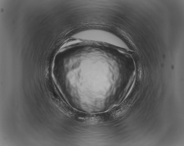 X0000086100259200704091400