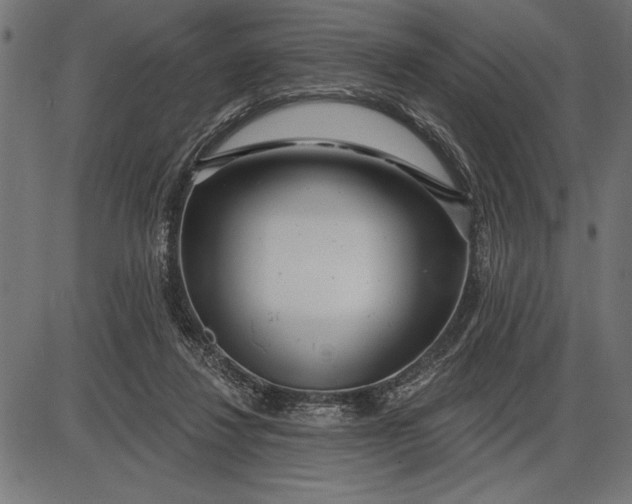 X0000086100260200704091400