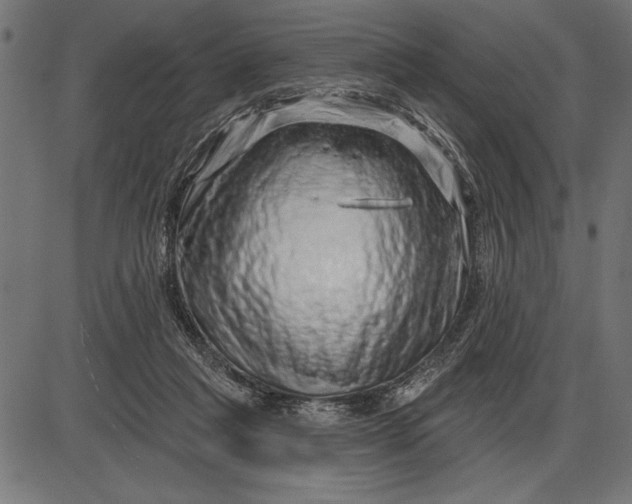 X0000086100261200704091400
