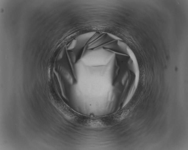 X0000086100262200704091400