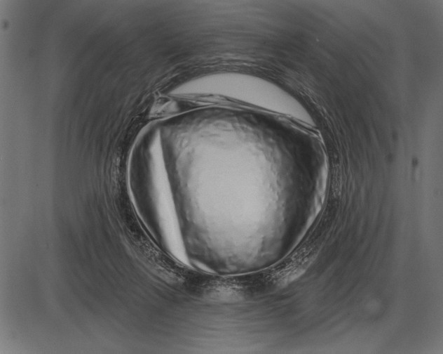 X0000086100263200704091400