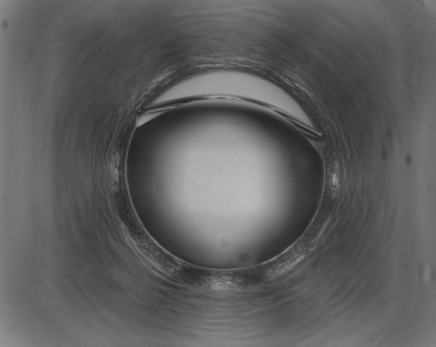 X0000086100264200704091400