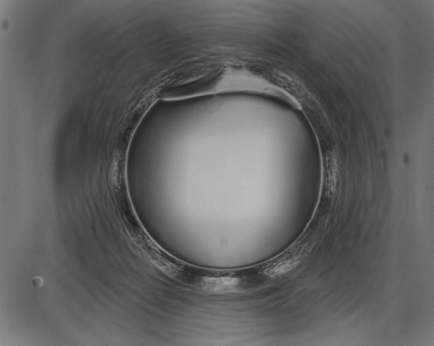 X0000086100266200704091400