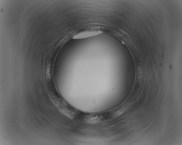 X0000086100267200704091400