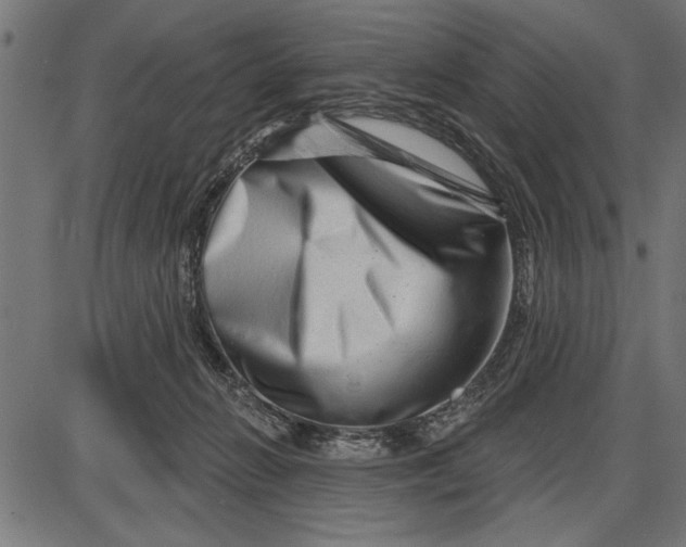 X0000086100270200704091400