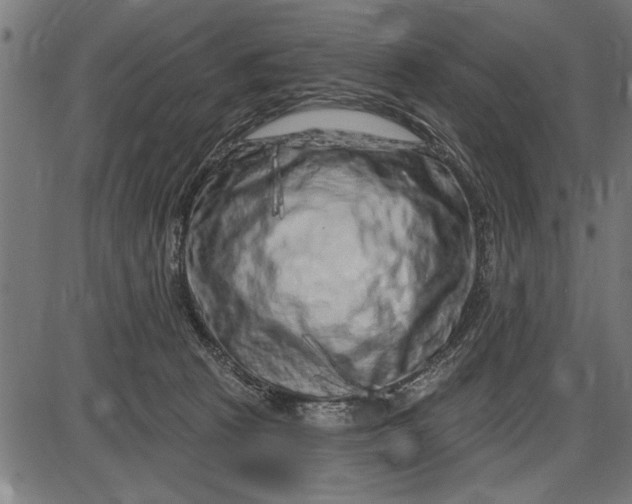 X0000086100273200704091400