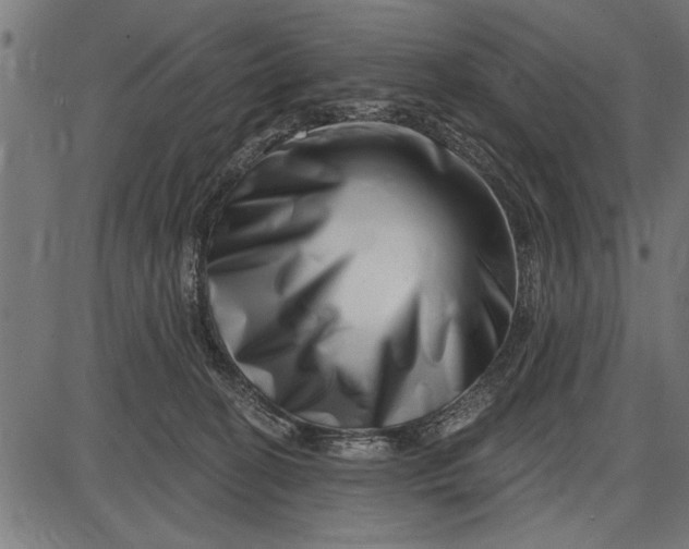X0000086100274200704091400