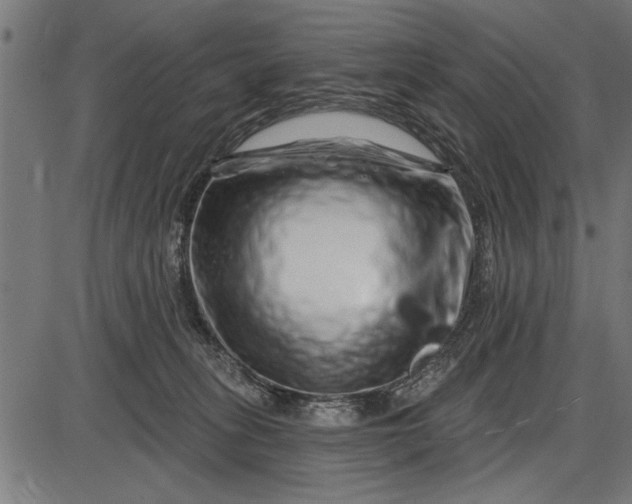 X0000086100275200704091400