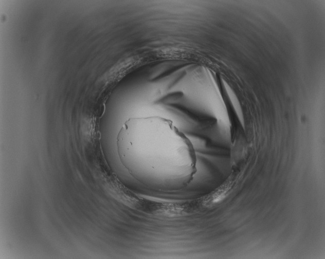 X0000086100278200704091400