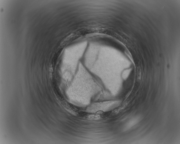 X0000086100279200704091400
