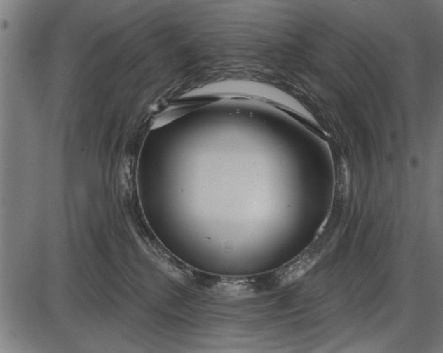X0000086100280200704091400