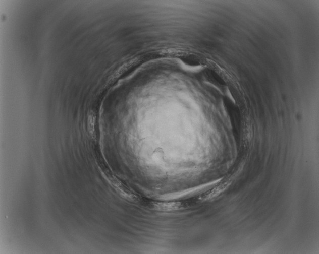 X0000086100281200704091400