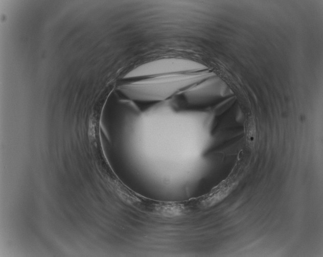 X0000086100282200704091400