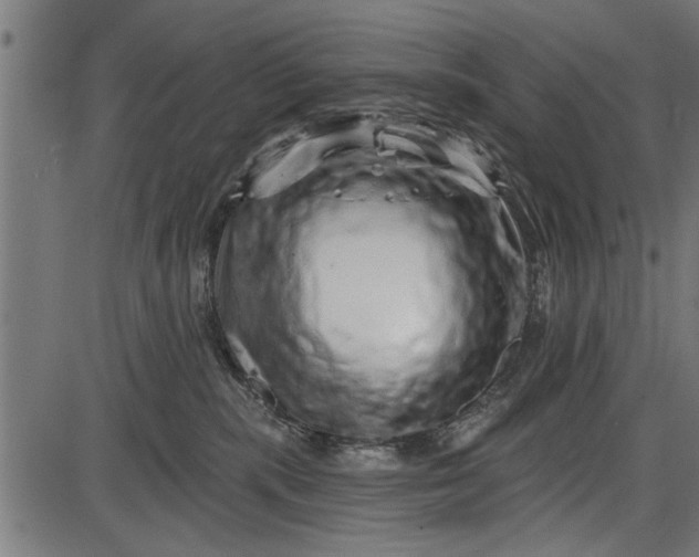 X0000086100283200704091400