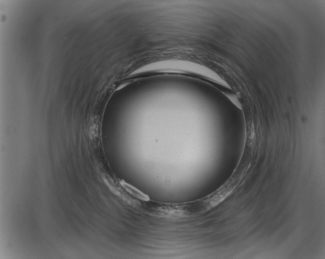 X0000086100284200704091400