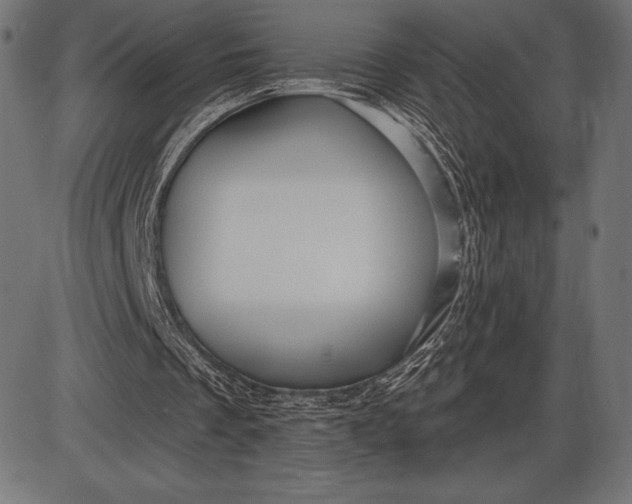 X0000086100289200704091359