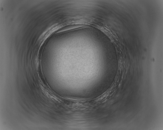 X0000086100290200704091359