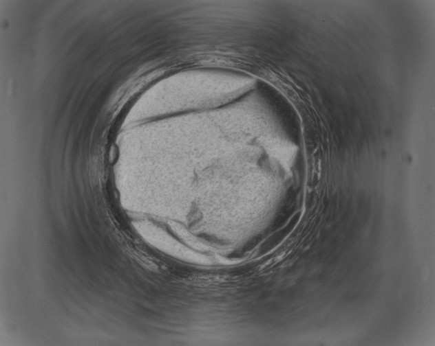 X0000086100291200704091359