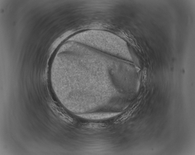X0000086100292200704091359