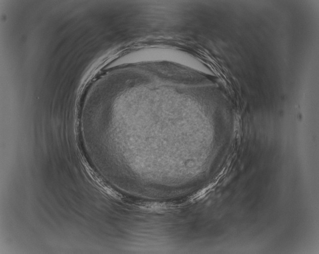 X0000086100293200704091359