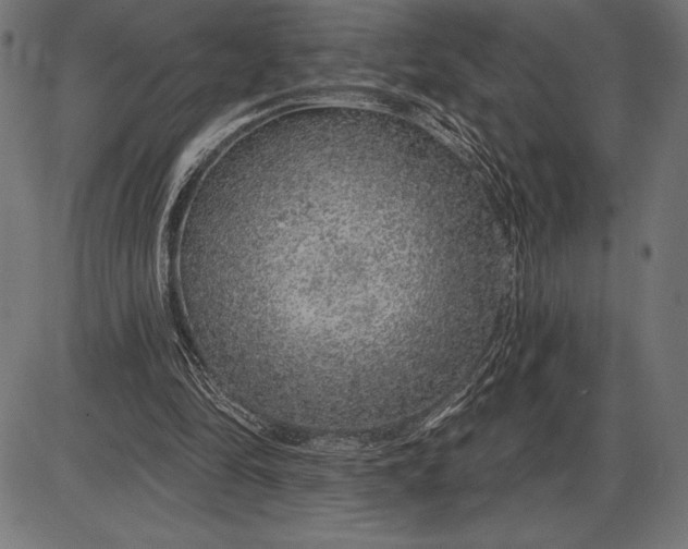 X0000086100294200704091359