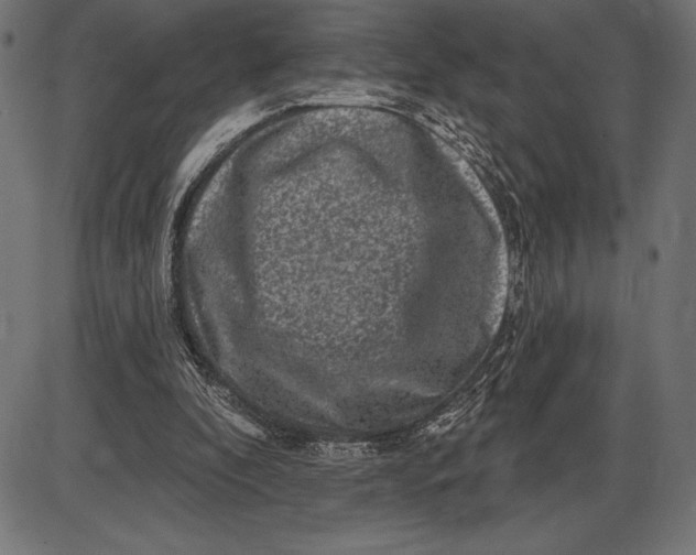 X0000086100296200704091359