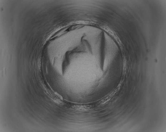 X0000086100297200704091359