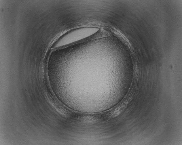 X0000086100298200704091359