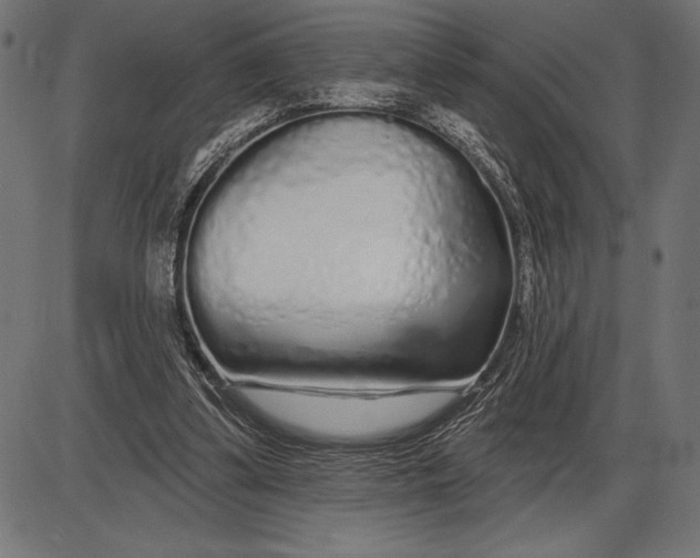 X0000086100299200704091359