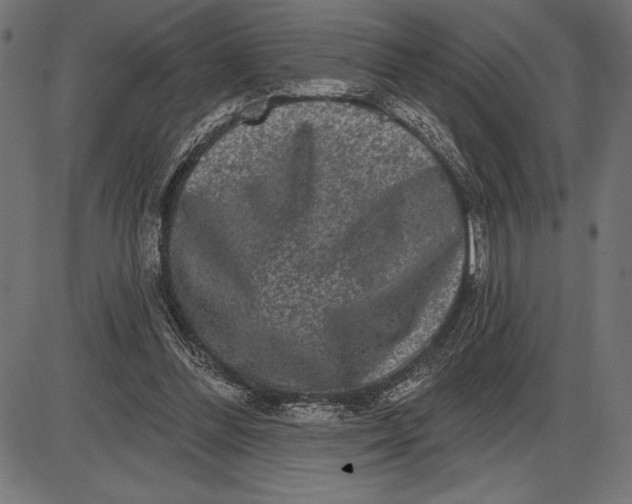 X0000086100300200704091359