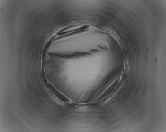 X0000086100301200704091359
