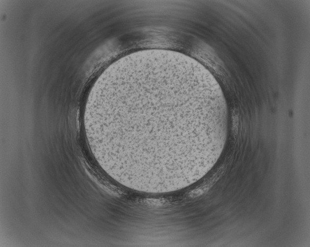 X0000086100302200704091359