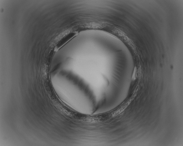 X0000086100305200704091359