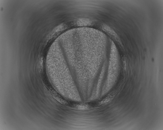 X0000086100308200704091359