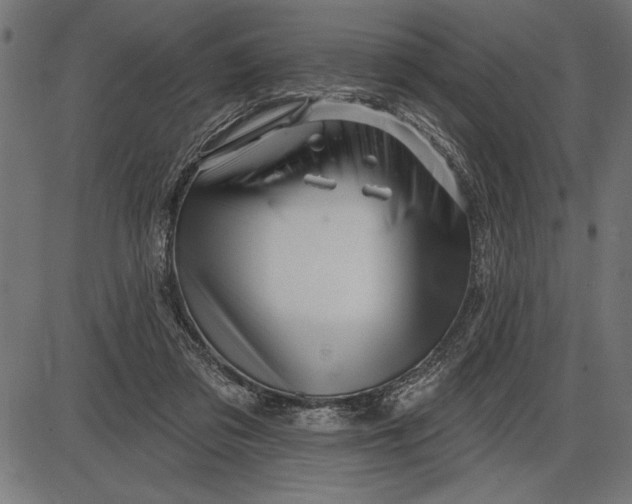 X0000086100309200704091359