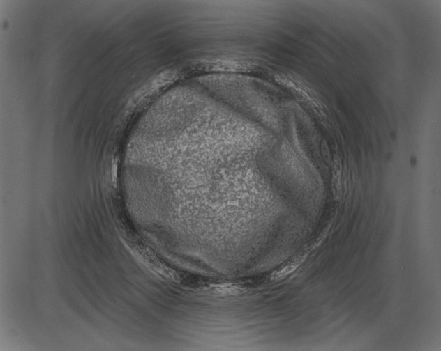 X0000086100310200704091359