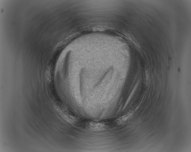 X0000086100311200704091359