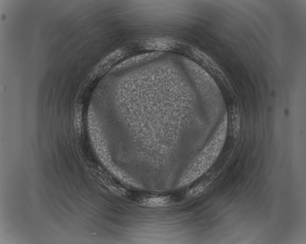 X0000086100312200704091359
