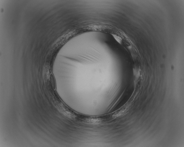X0000086100313200704091359