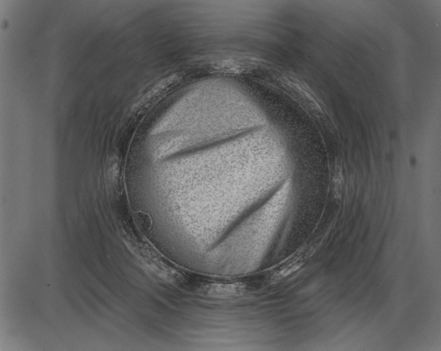 X0000086100314200704091359