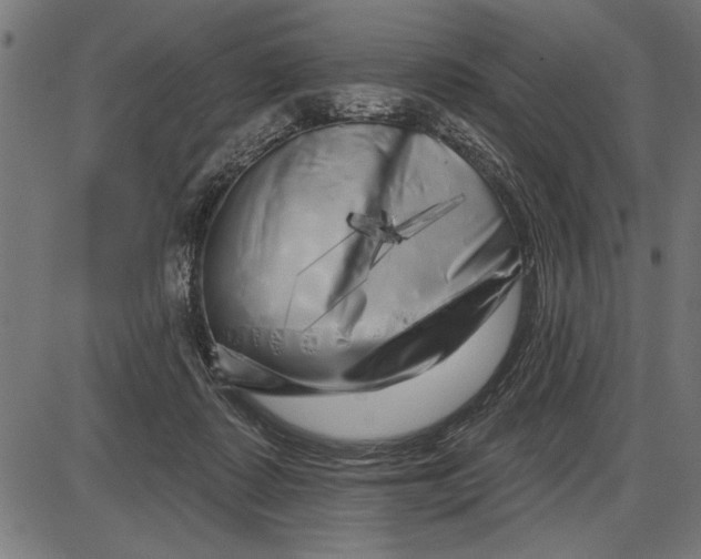 X0000086100315200704091359