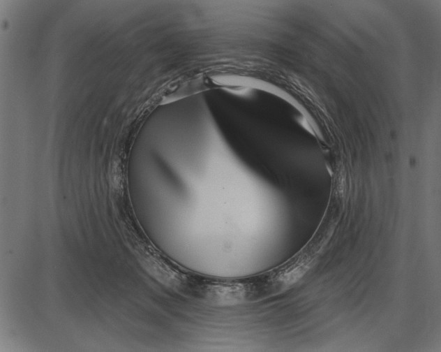 X0000086100317200704091359