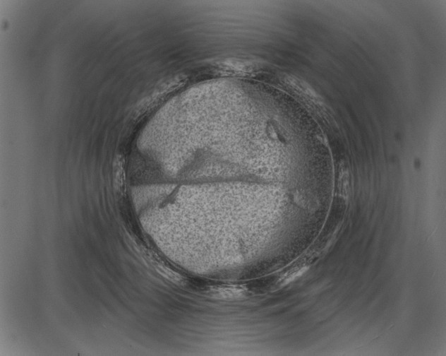 X0000086100318200704091359